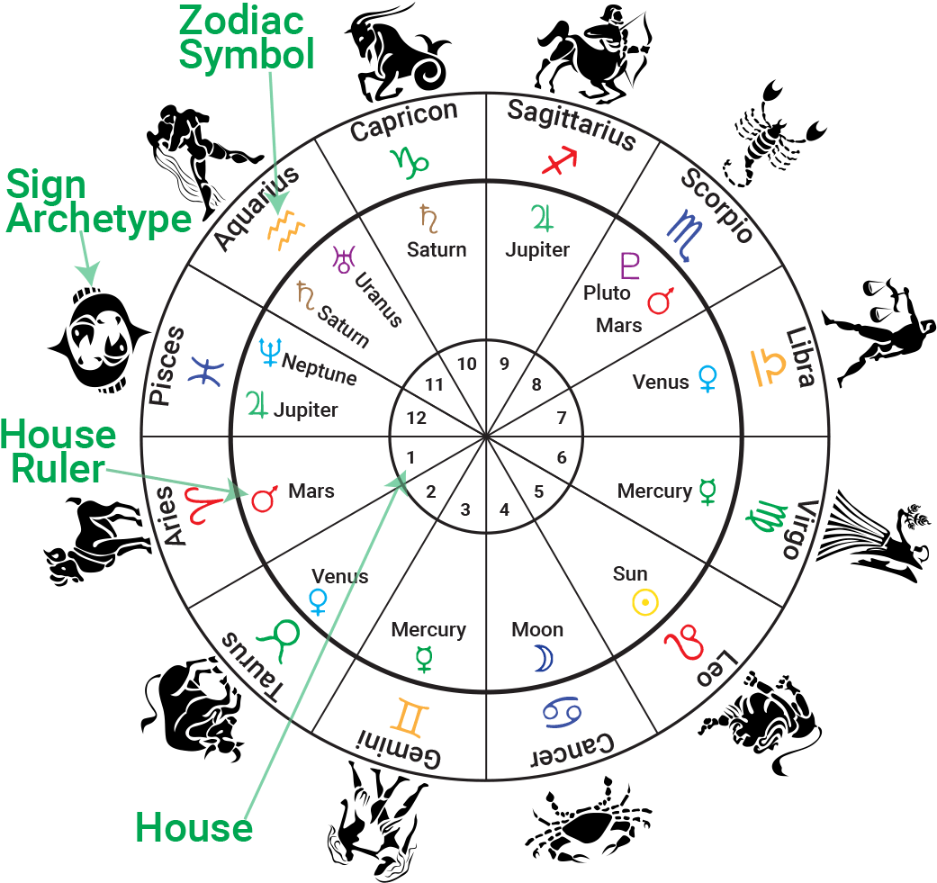 Natal Chart Houses Clipart (1055x1000), Png Download