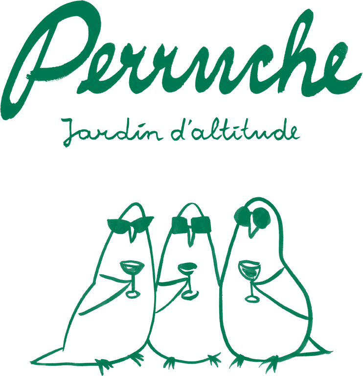 Perruche, Jardin D'altitude - Illustration Clipart (742x768), Png Download
