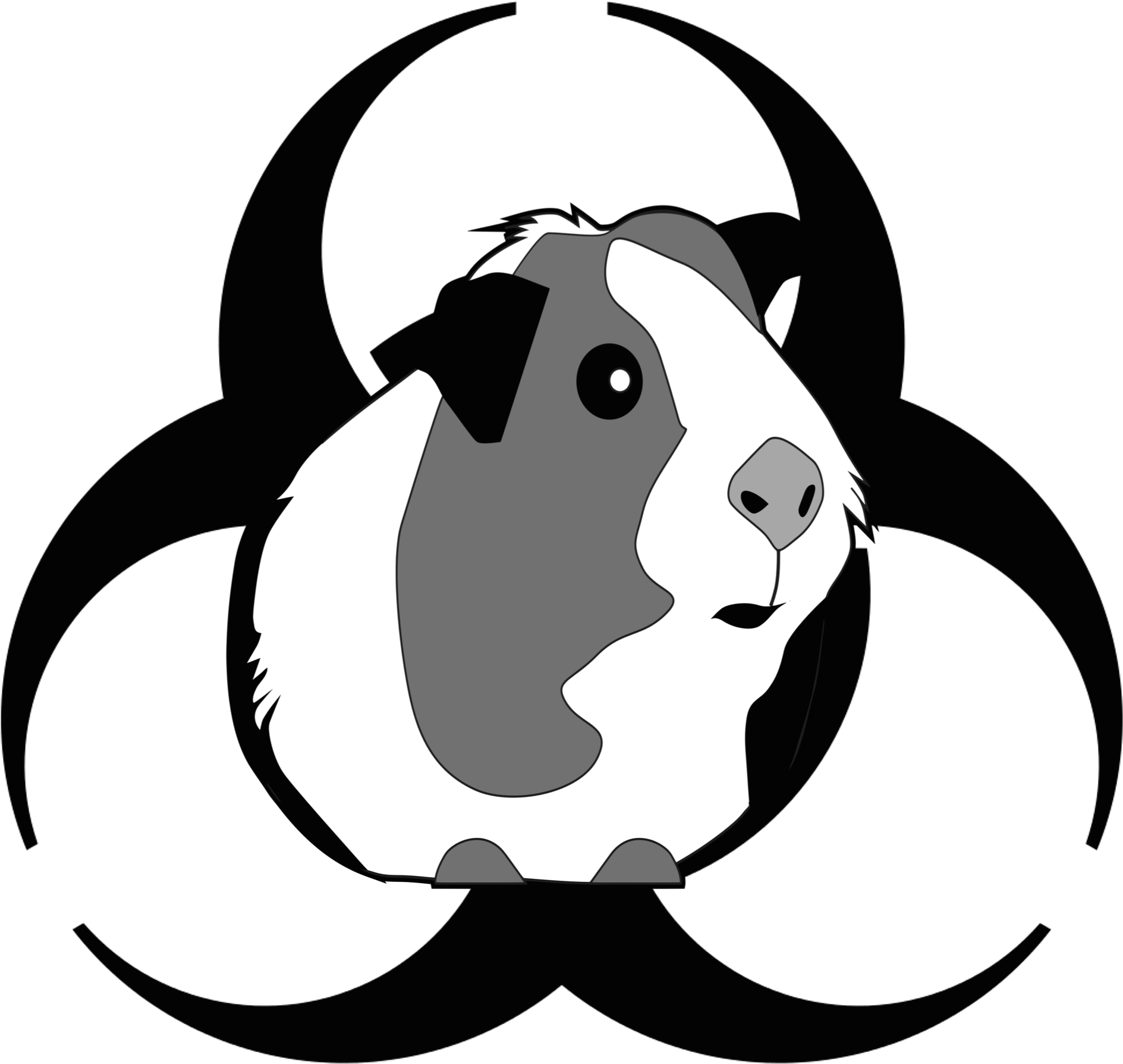 Sudden Guinea Pig Death? What You Must Know - gzsxf86