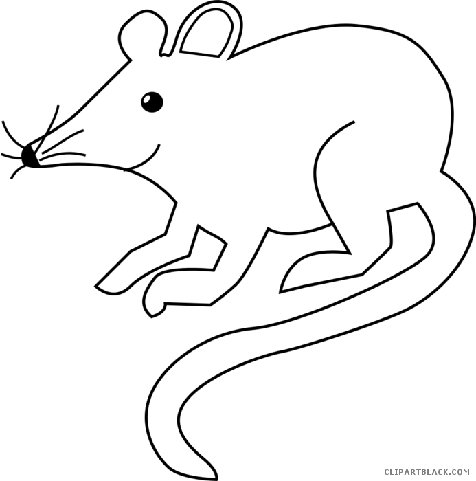 Rat Mouse Clipart White - Rat Black And White Clipart - Png Download (693x700), Png Download