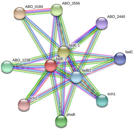 Circle Clipart (975x463), Png Download