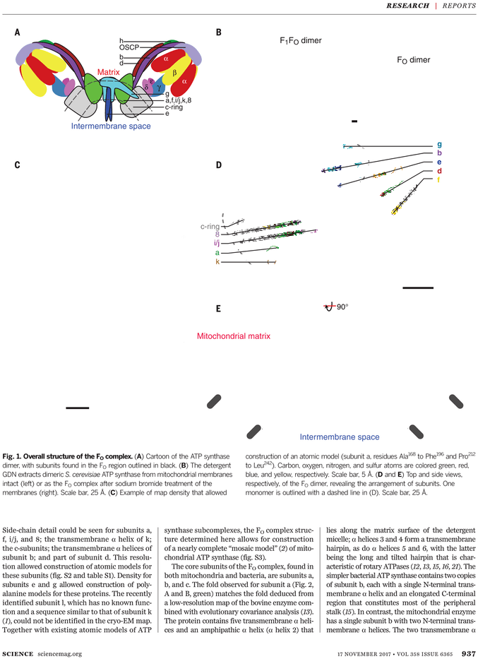 Folio Eleven From Burchard Of Sion's De Locis Ac Mirabilibus Clipart (765x974), Png Download