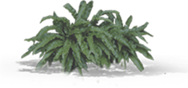 View In My Picture - Leafy Plants Png Clipart (600x600), Png Download