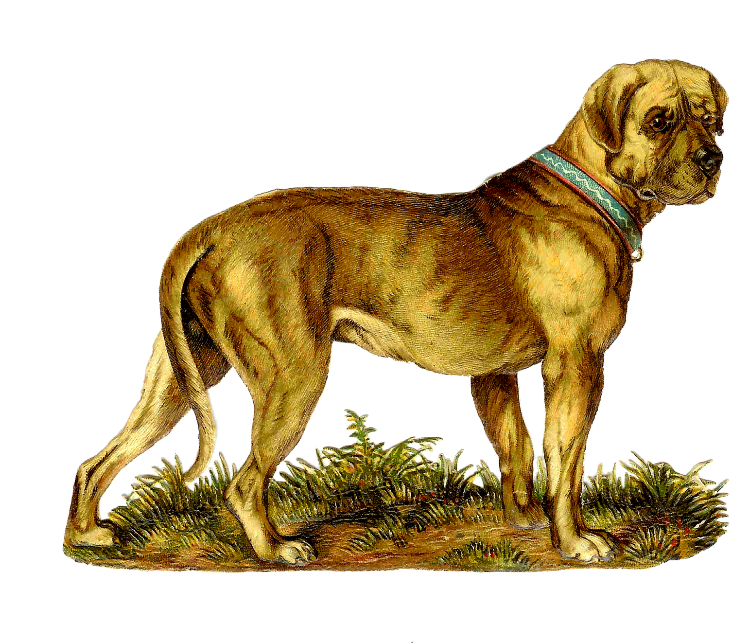 This Png image is free and cool. 