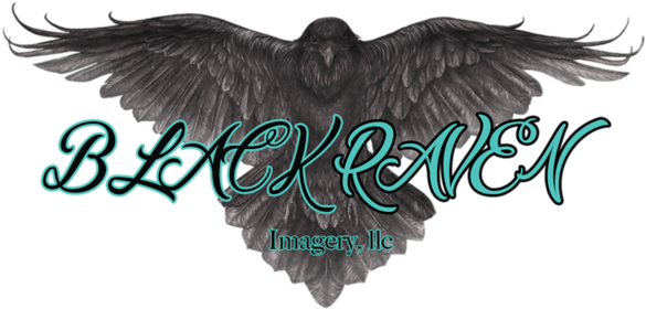 Raven Bird Png Clipart (600x600), Png Download