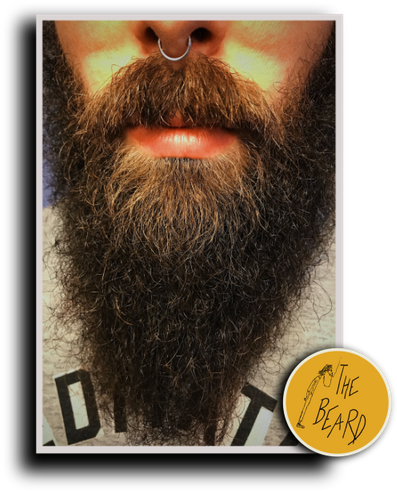 Barba E Piercing - Animal Clipart (640x520), Png Download