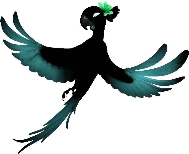 #rio #jewel #crow #blu #raven #black #lol #helpme - Perroquet Rio Dessin Couleur Clipart (743x608), Png Download