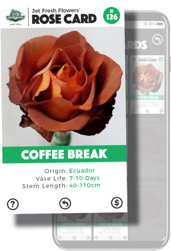 My Cards - Garden Roses Clipart (546x800), Png Download
