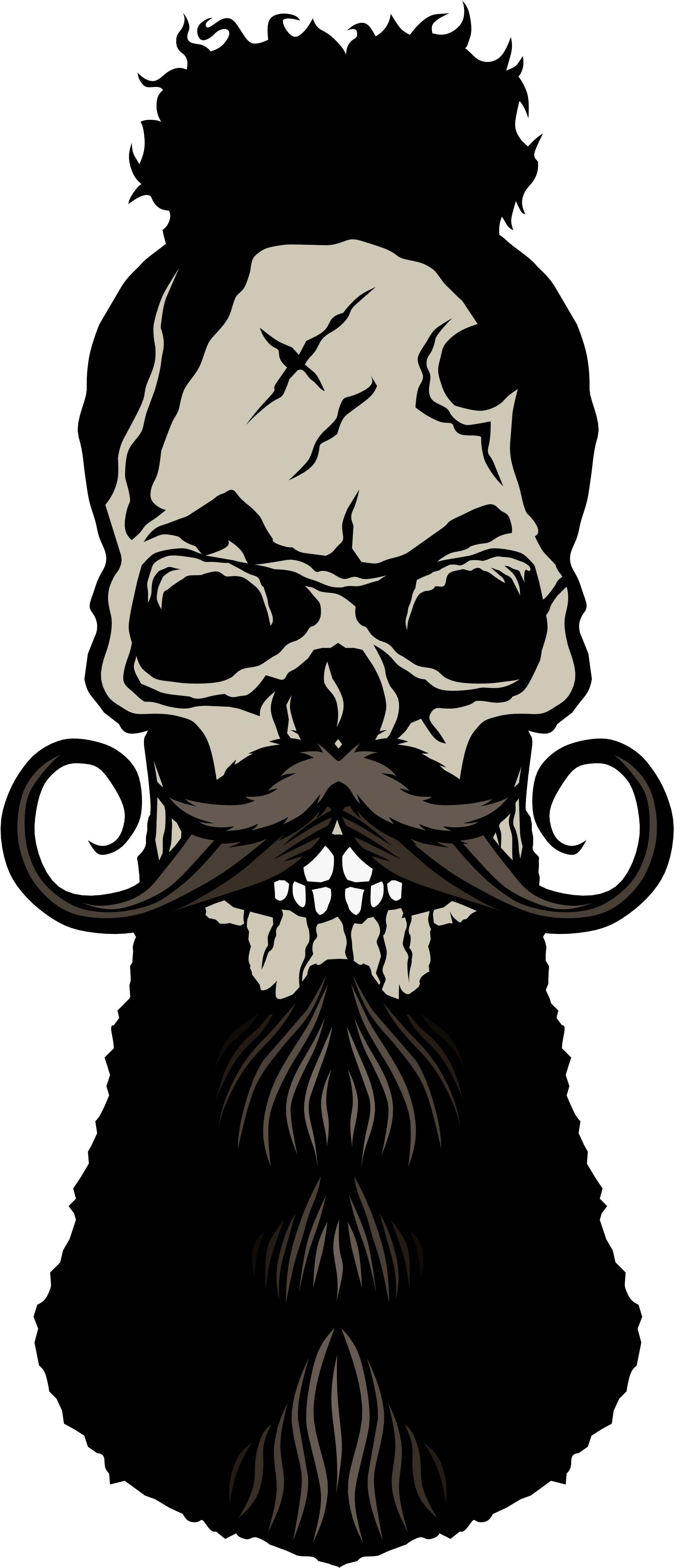 Tee-shirt Tete De Mort Hipster Crane Skull Barbu - Francisco Pizarro The Explorer Clipart (2184x4848), Png Download
