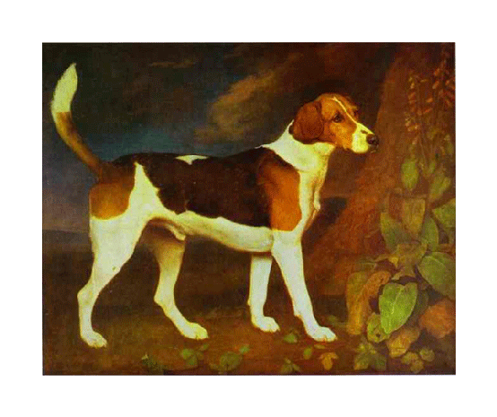 A Foxhound, Ringwod - George Stubbs Dog Paintings Clipart (600x600), Png Download