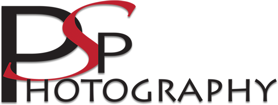 Psp Photography - Calligraphy Clipart (1433x596), Png Download