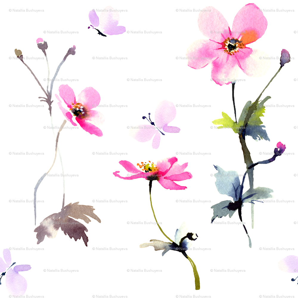 Moth Orchid Clipart (1000x1000), Png Download