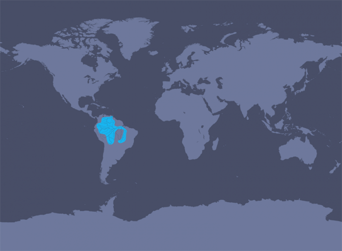 This Following Map Shows The Distribution Of Amazon - Southern Right Whale Dolphin Range Clipart (680x499), Png Download