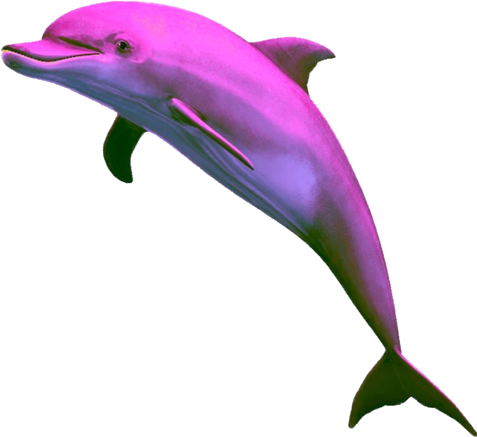 #dolphin #pink #pinkdolphin #png - Png Dolphin Clipart (477x437), Png Download