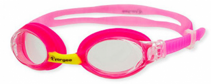 Circle Clipart (800x800), Png Download