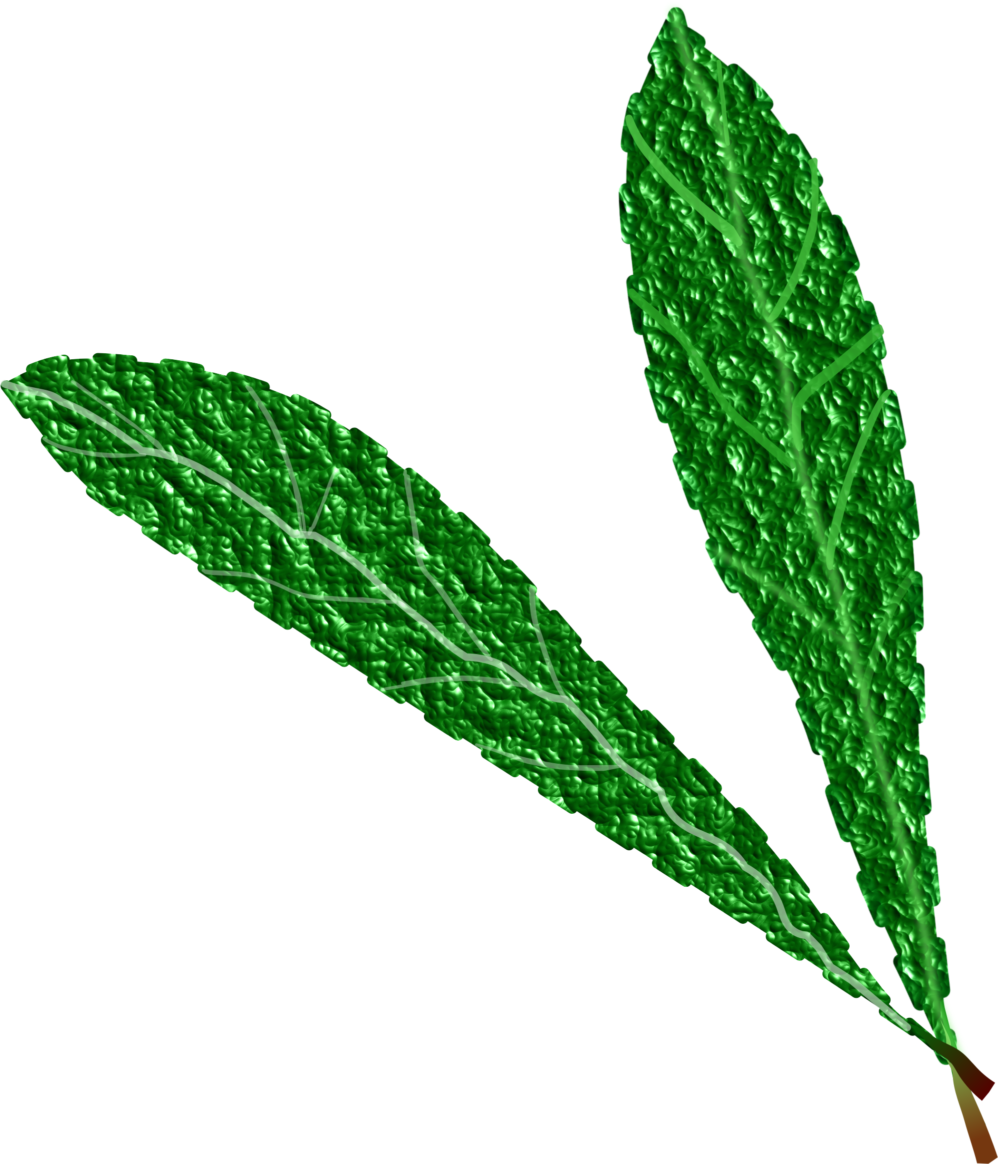 This Free Icons Png Design Of Green Leaves, - Gambar Daun Hijau Background Putih Clipart (2400x2400), Png Download