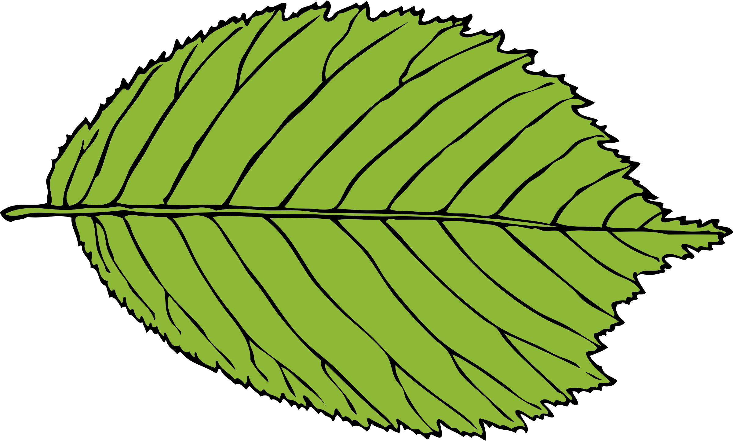 This Free Icons Png Design Of Bi-serrate Leaf - Leaf Clip Art Jpg Transparent Png (2400x1444), Png Download