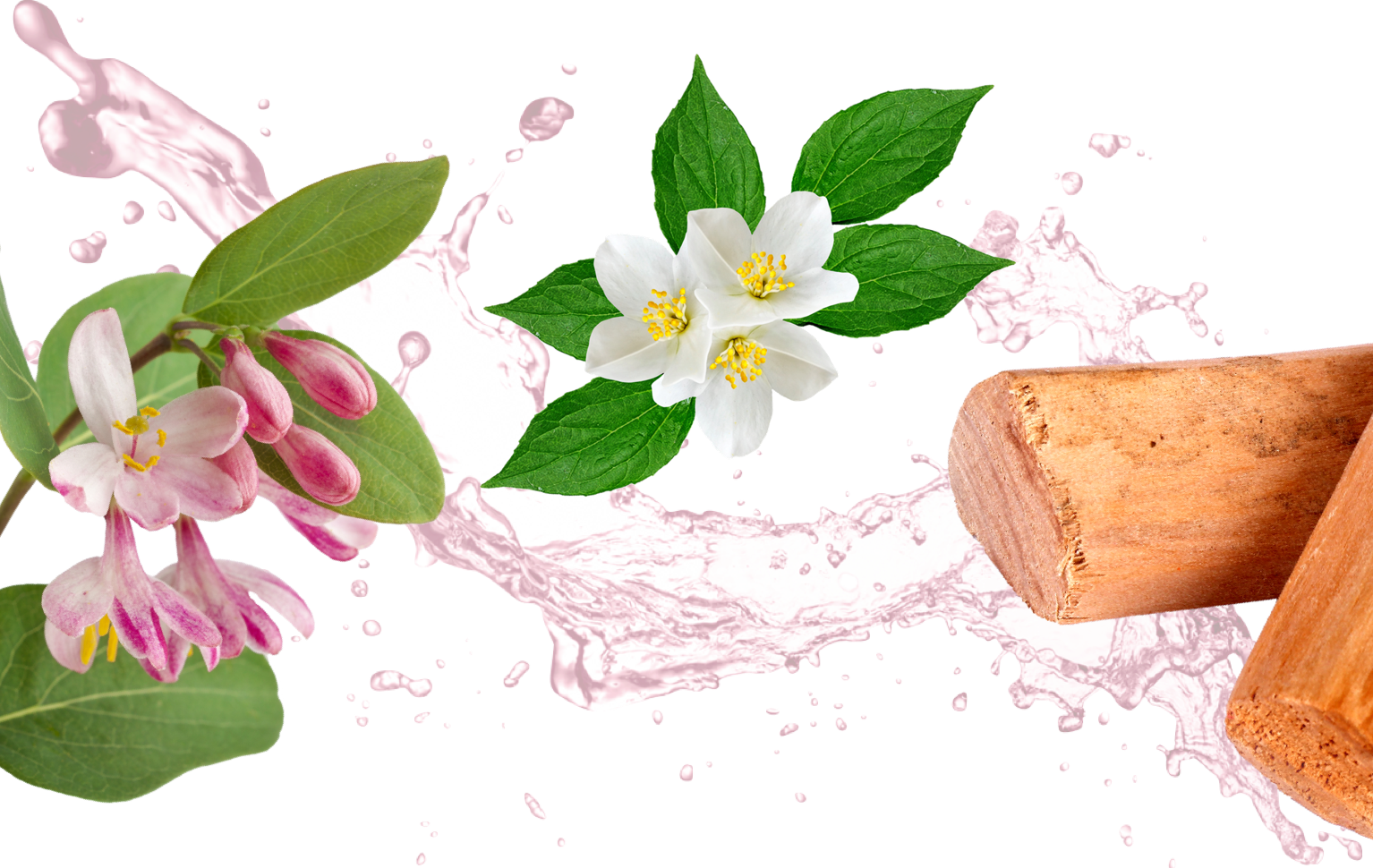 Fresh - Png Background Water Transparent Clipart (1534x970), Png Download