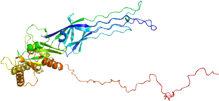 Gtpase Obge/cgta Eom/ranch Model - Map Clipart (640x480), Png Download