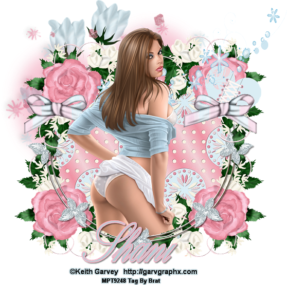 Garden Roses Clipart (558x555), Png Download