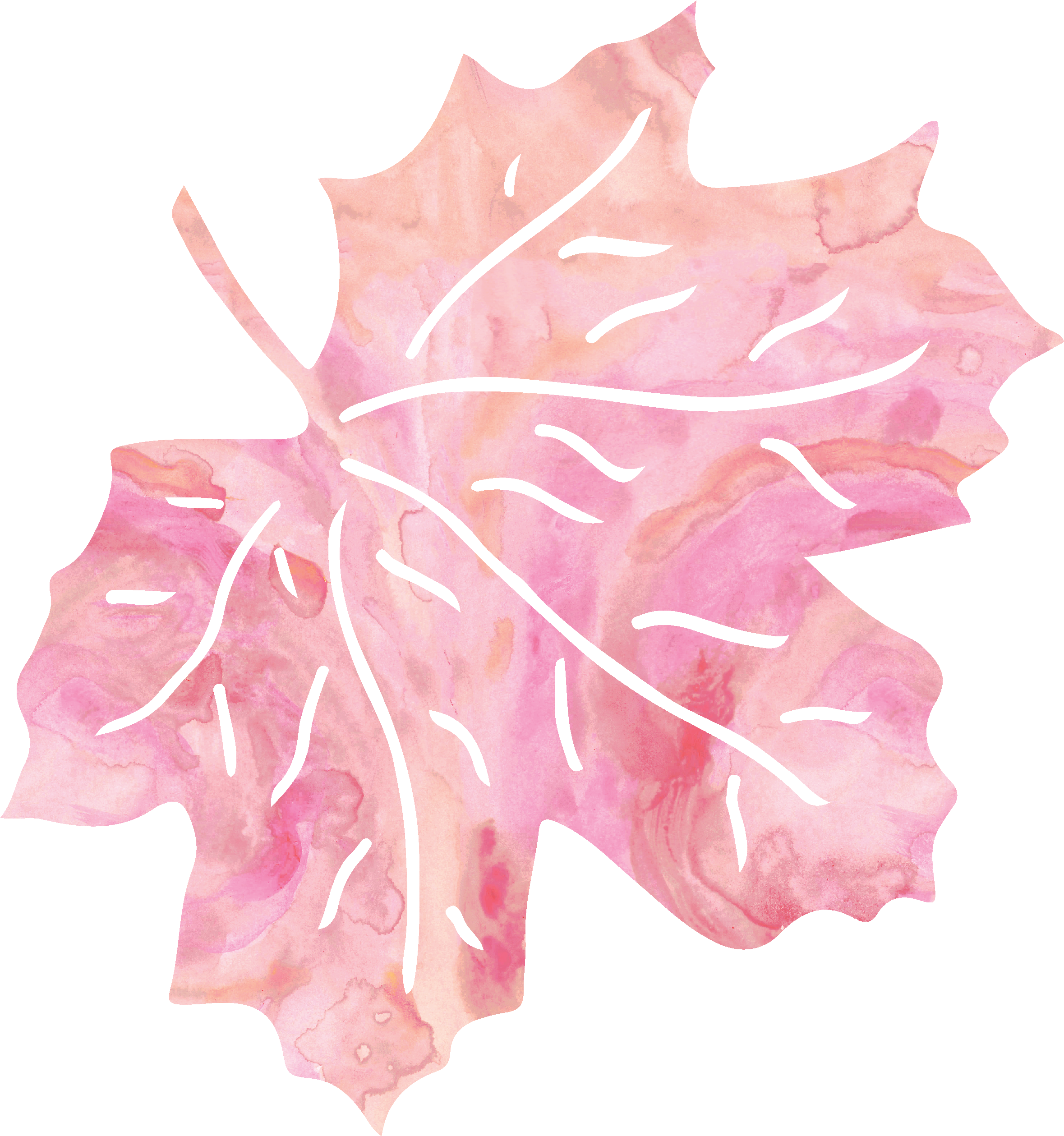 Leaf Pink Petal - Maple Leaf Clipart (2359x2519), Png Download