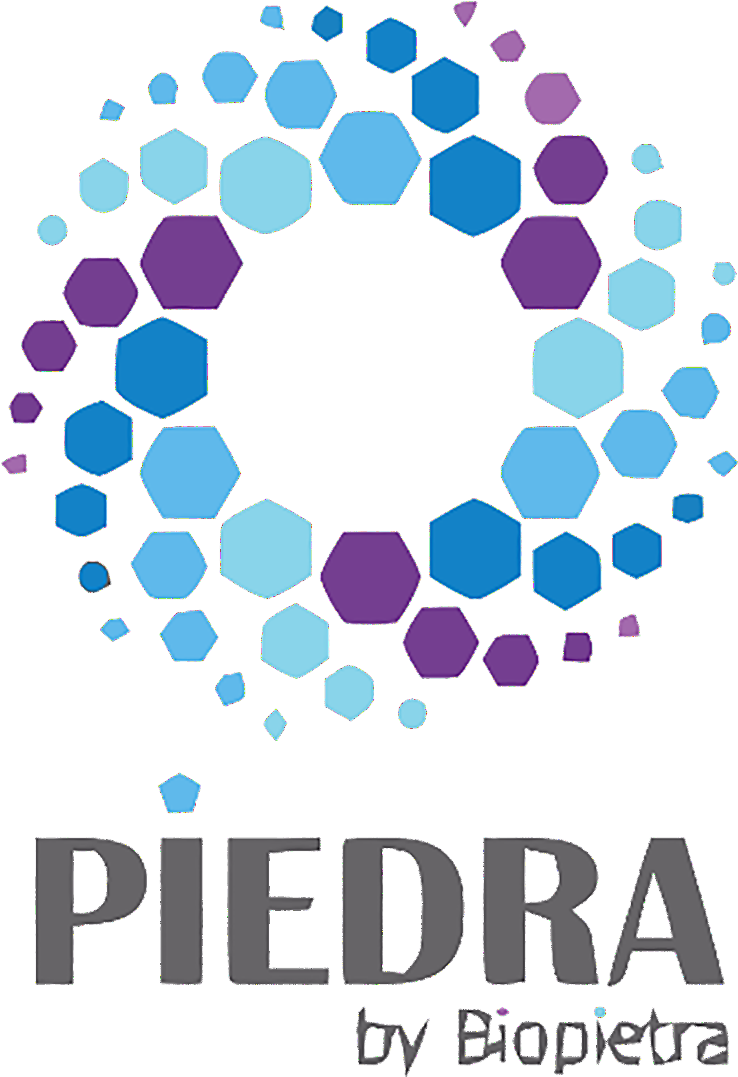 Logo Piedra 1 - Circle Clipart (1181x1181), Png Download