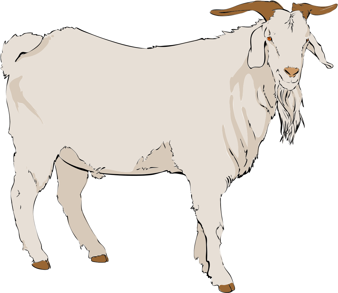 Goat Clipart - Goat Clipart Png Transparent Png (1175x1024), Png Download