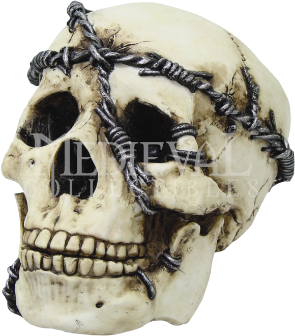 Skull And Barbed Wire Clipart (674x674), Png Download