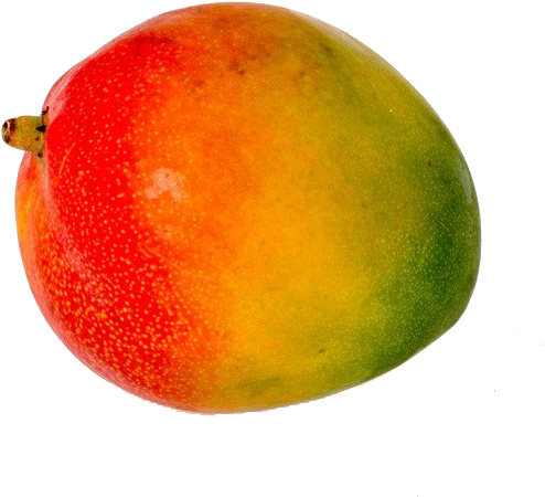 Mango Png Image & Mango Clipart - Mango Transparent Png (616x527), Png Download