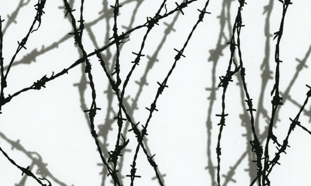 Shadow Barbed Wire Ll-209 - Barb Wire Clipart (1000x600), Png Download