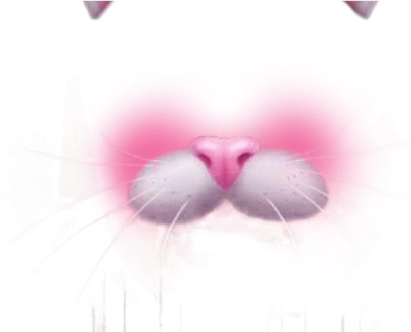 Snapchat Clipart Transparent Background - Filter Snow Cat - Png Download (640x480), Png Download