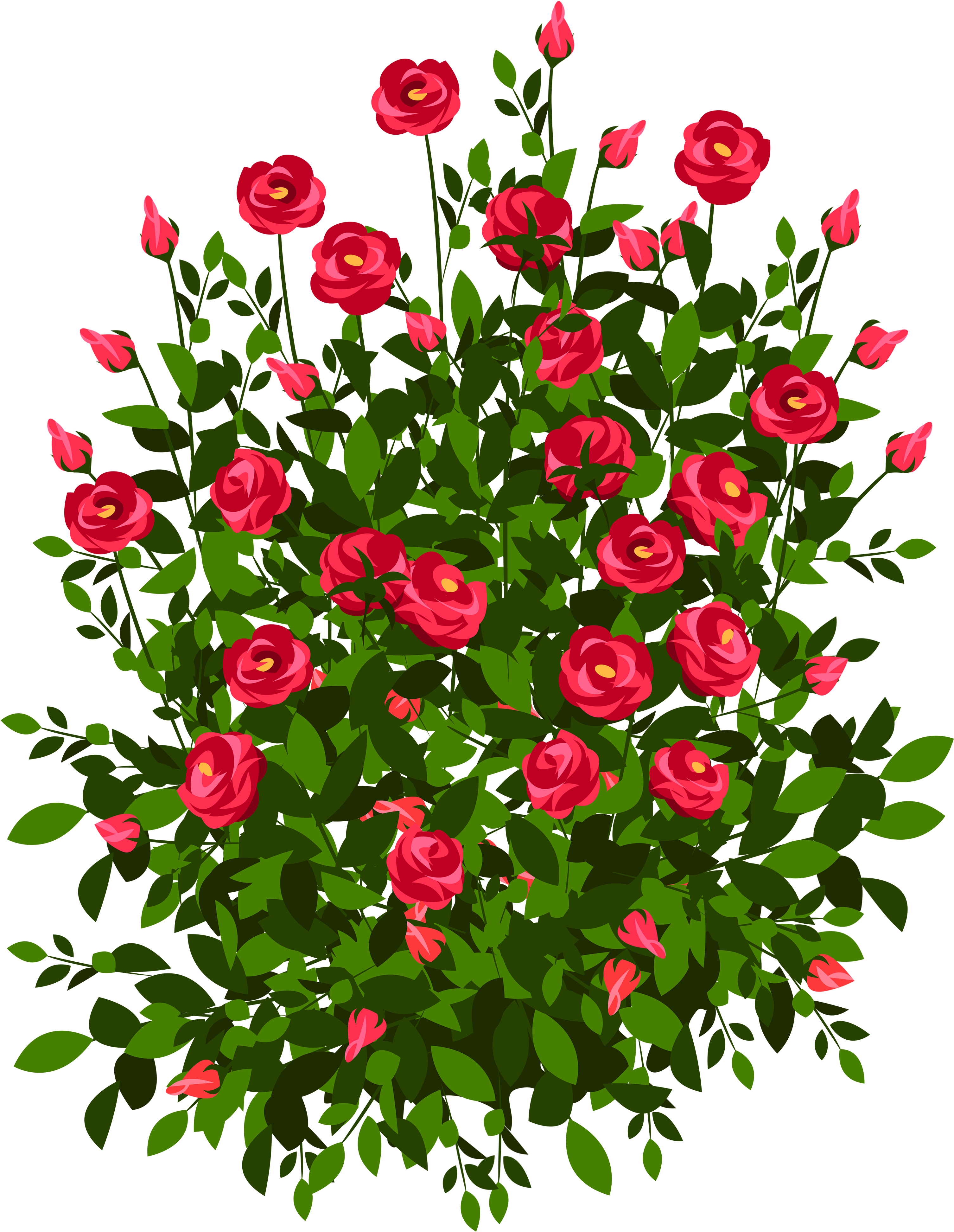 Red Rose Bush Png Clipart Picture - Bush Of Roses Drawing Transparent Png (3242x4000), Png Download
