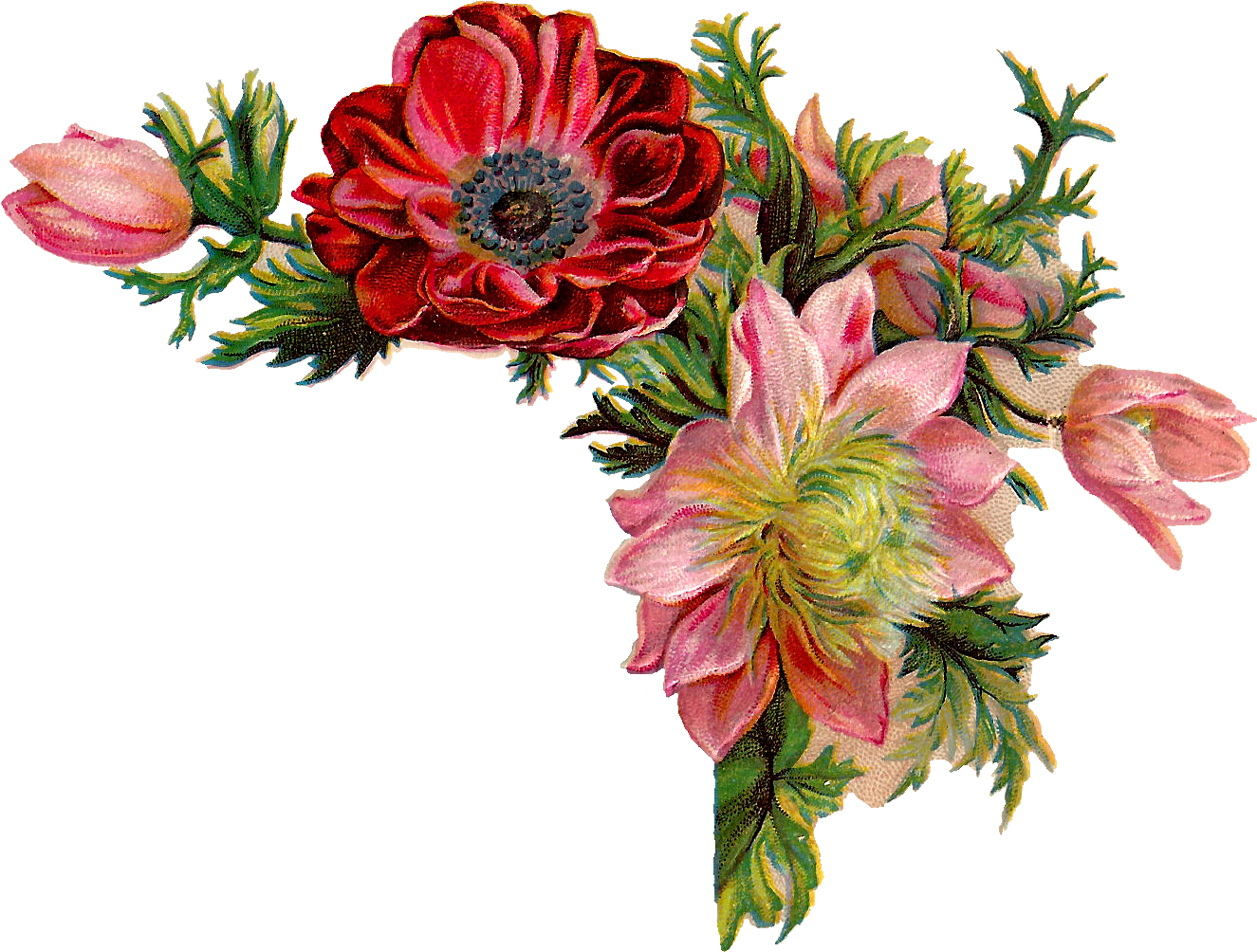 Flower Illustration Png - Flowers Vintage Illustration Png Clipart (1395x1083), Png Download