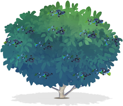 600 X 535 7 - Blueberry Tree Png Clipart (600x535), Png Download