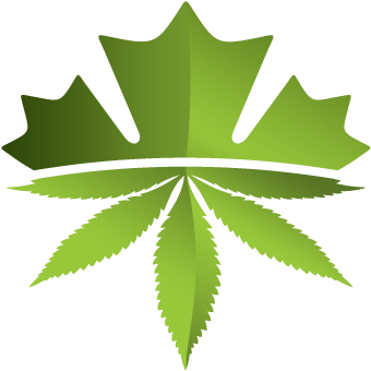 Leaf - Benchmark Botanics Inc Logo Clipart (720x480), Png Download