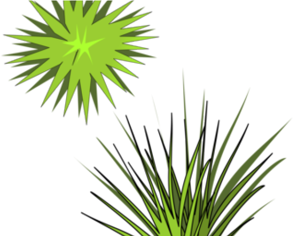 Shrub Bushes Clipart Plant Shoot - Grass - Png Download (640x480), Png Download