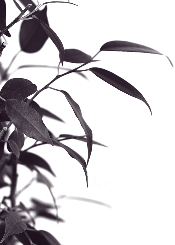 Haunt Sign - Monochrome Clipart (730x1020), Png Download