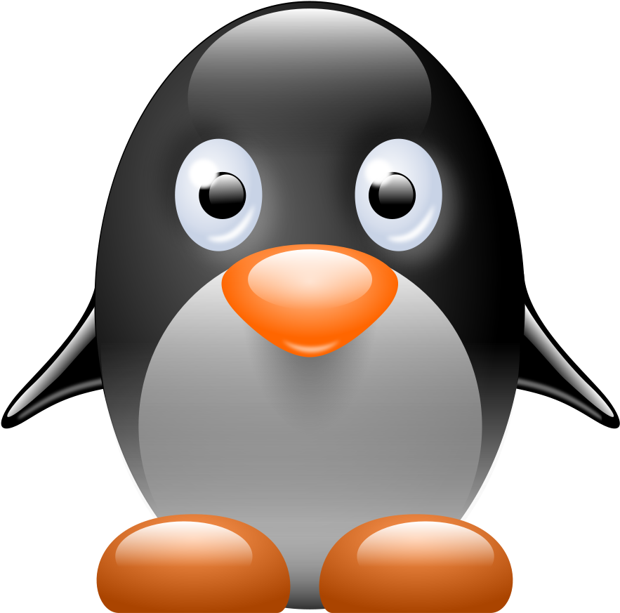 Penguin Clipart Png File Tag List, Penguin Clip Arts - Yellow Eyed Penguin Clipart Transparent Png (900x894), Png Download
