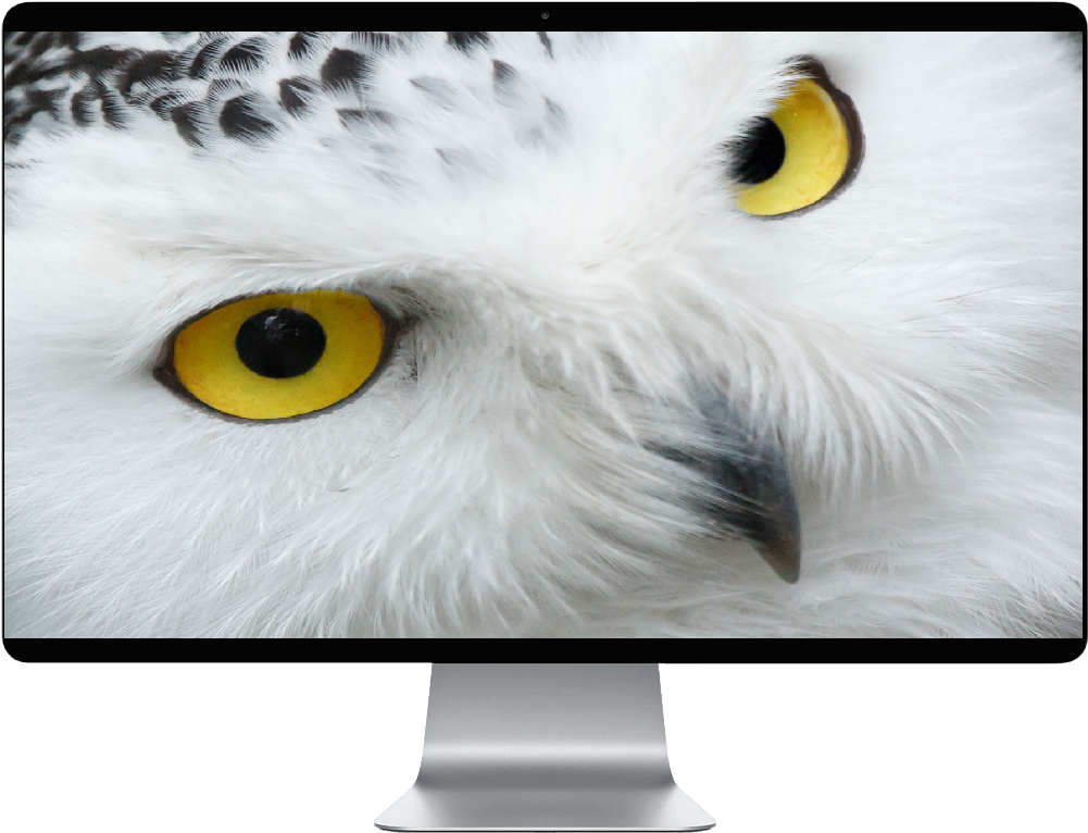 Score 50% - Harry Potter Owl Eyes Clipart (1000x1000), Png Download