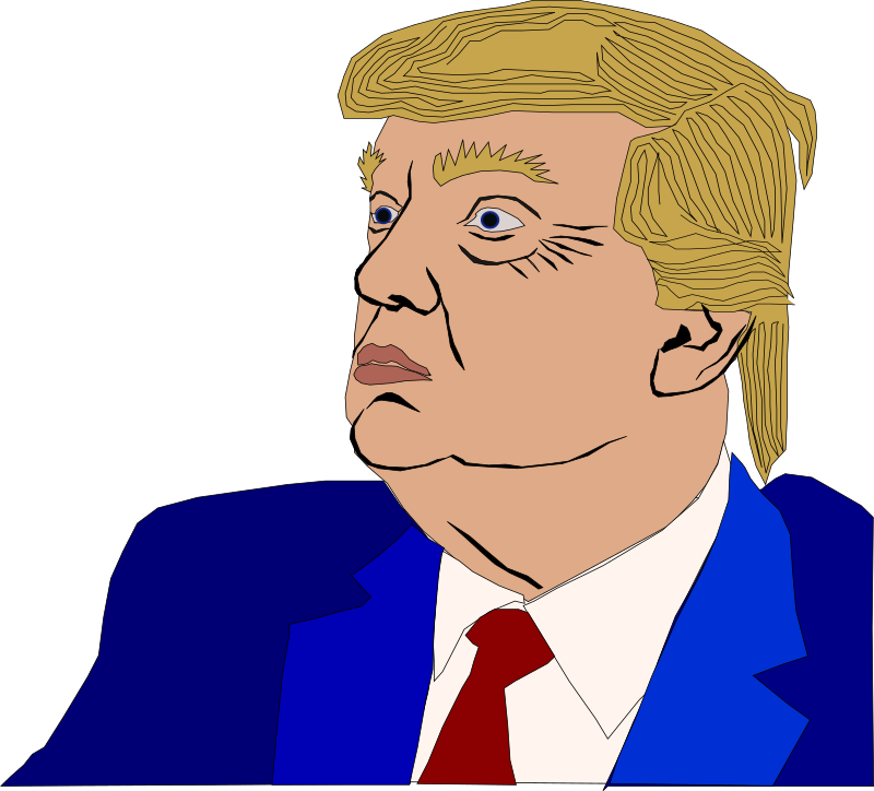 Medium Image - Donald Trump Clipart - Png Download (800x724), Png Download