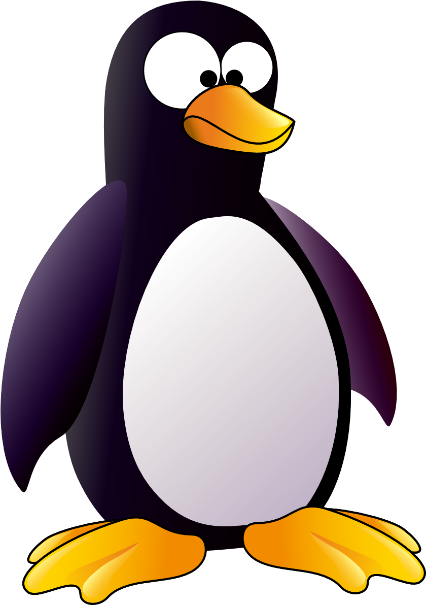 Penguin Png - Penguin Bird Clipart (999x1413), Png Download
