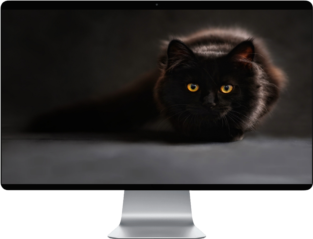 Score 50% - Hd Pc Wallpaper Black Cat Clipart (1000x1000), Png Download