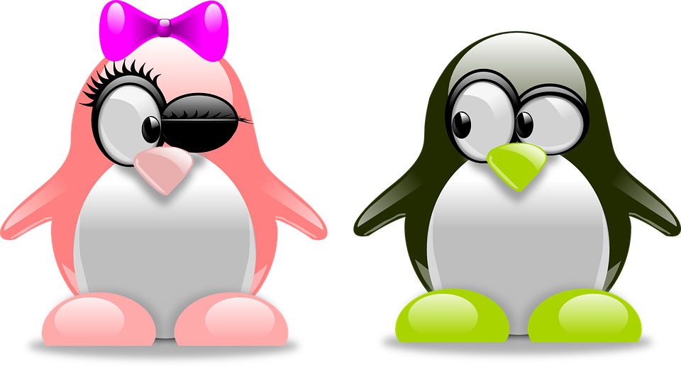 Download Penguins Png Transparent Images Transparent - Cool Penguin Clip Art (960x517), Png Download