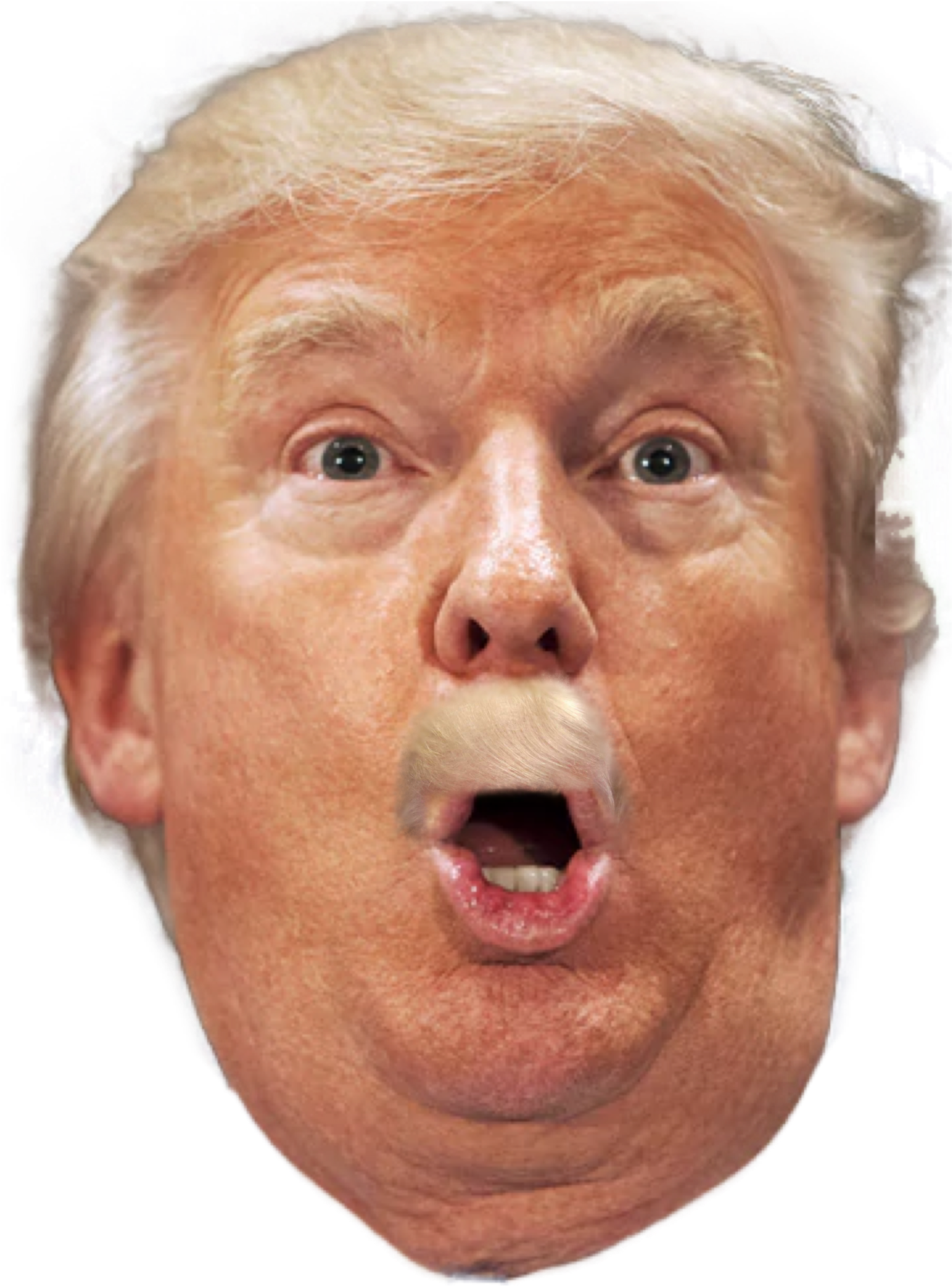 Com Is A Political Satire Gift Store From The Media - Trump Transparent Background Clipart (3000x3000), Png Download