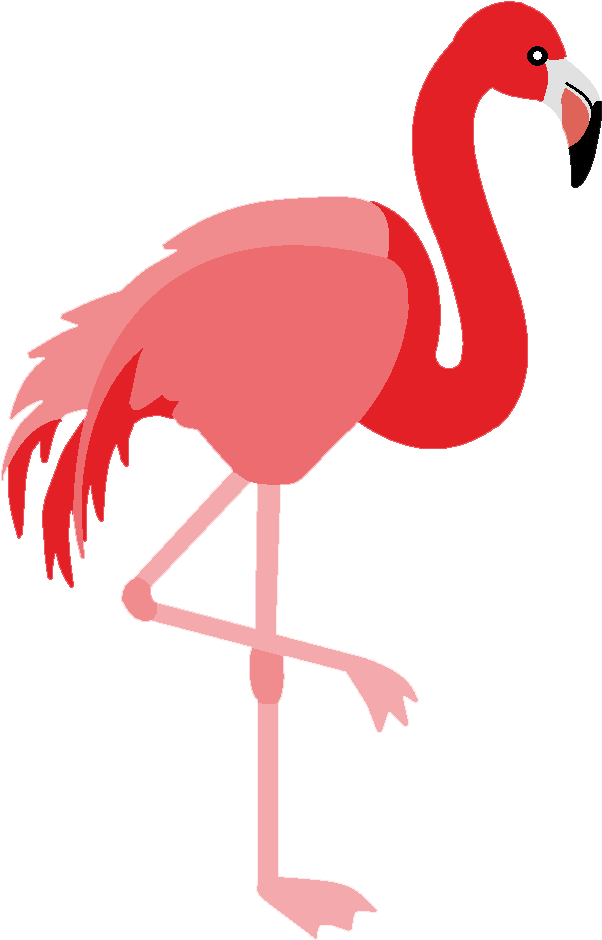 Flamingo Bird Vector Png Clipart (1000x1000), Png Download