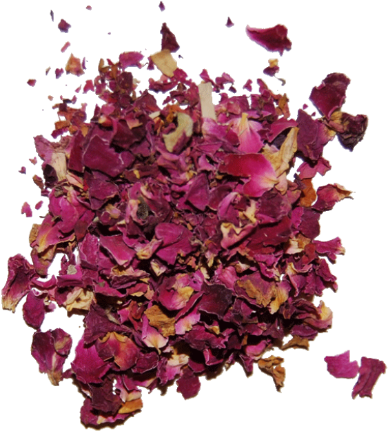 Red Rose Petals Clipart (563x625), Png Download