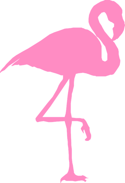 Flamingo With Crown Png Library Download - Clip Art Flamingo Transparent Png (490x720), Png Download