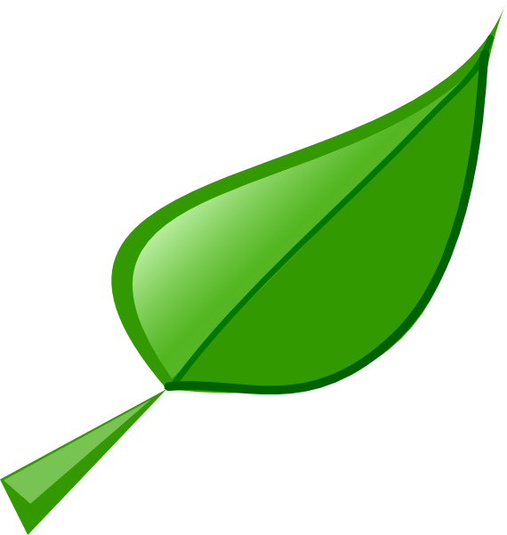 Leaf 2 Png Images Clipart (570x601), Png Download