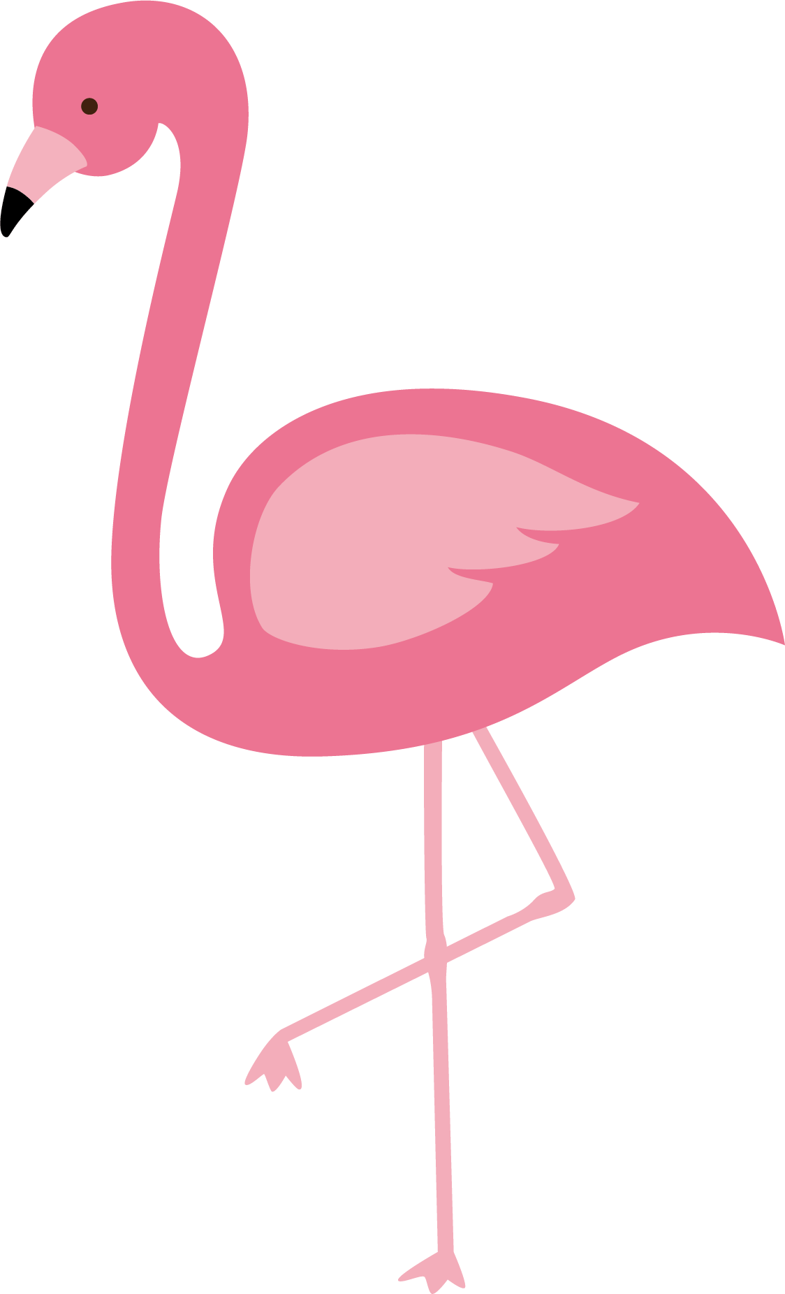 Free Png Download Flamingo Png Images Background Png - Cartoon Flamingo Transparent Background Clipart (480x791), Png Download