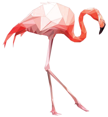 564 X 704 5 - Pink Flamingo High Res Clipart (564x704), Png Download